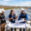 Independent Solar | How to Find Reliable Solar Sub Contractors and Grow Faster Today